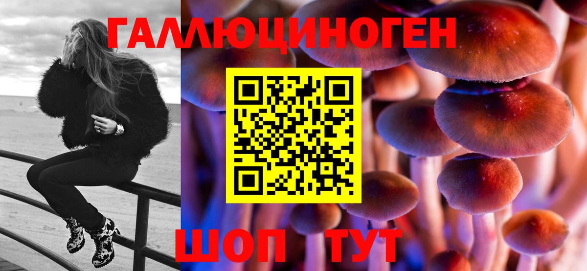 Галлюциногенные грибы Cubensis Аша